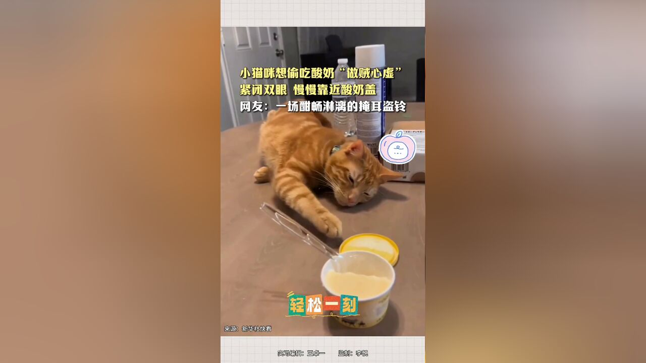 小猫咪想偷吃酸奶“做贼心虚”