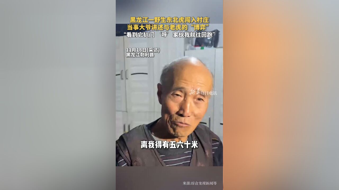 黑龙江一野生东北虎闯入村庄,当事大爷讲述与老虎的“博弈”