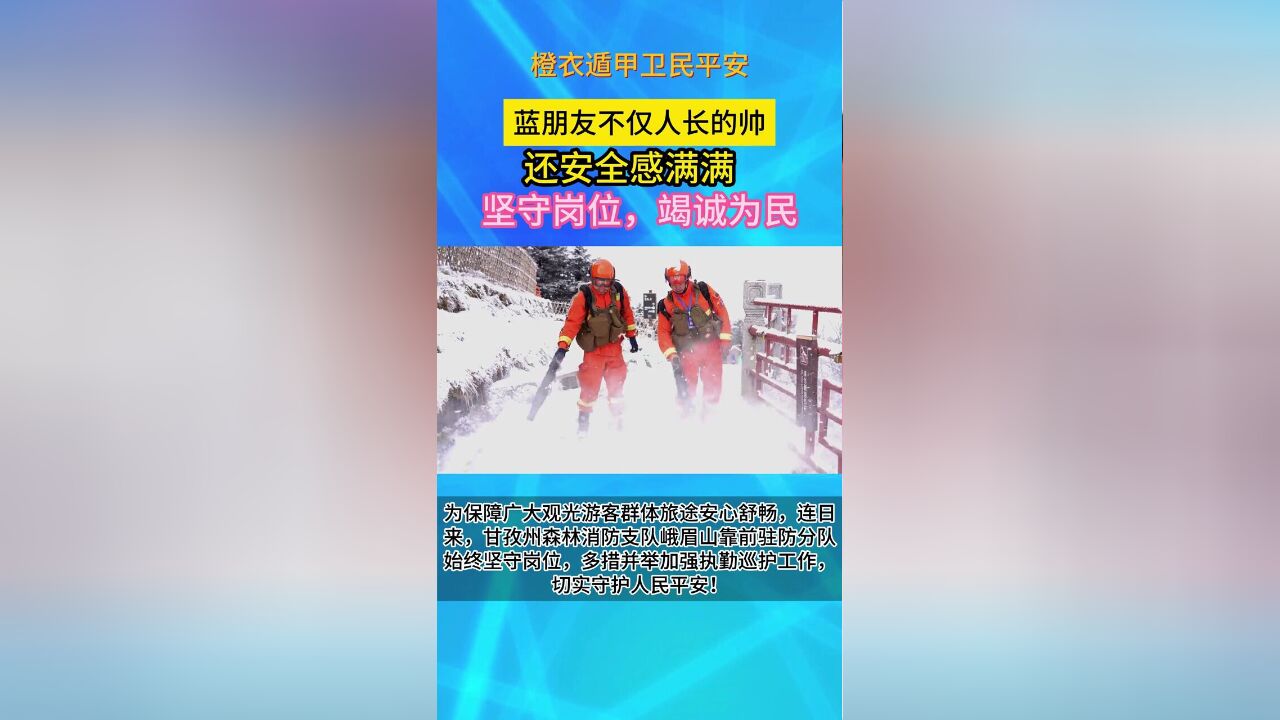 快来围观安全感满满的蓝朋友.