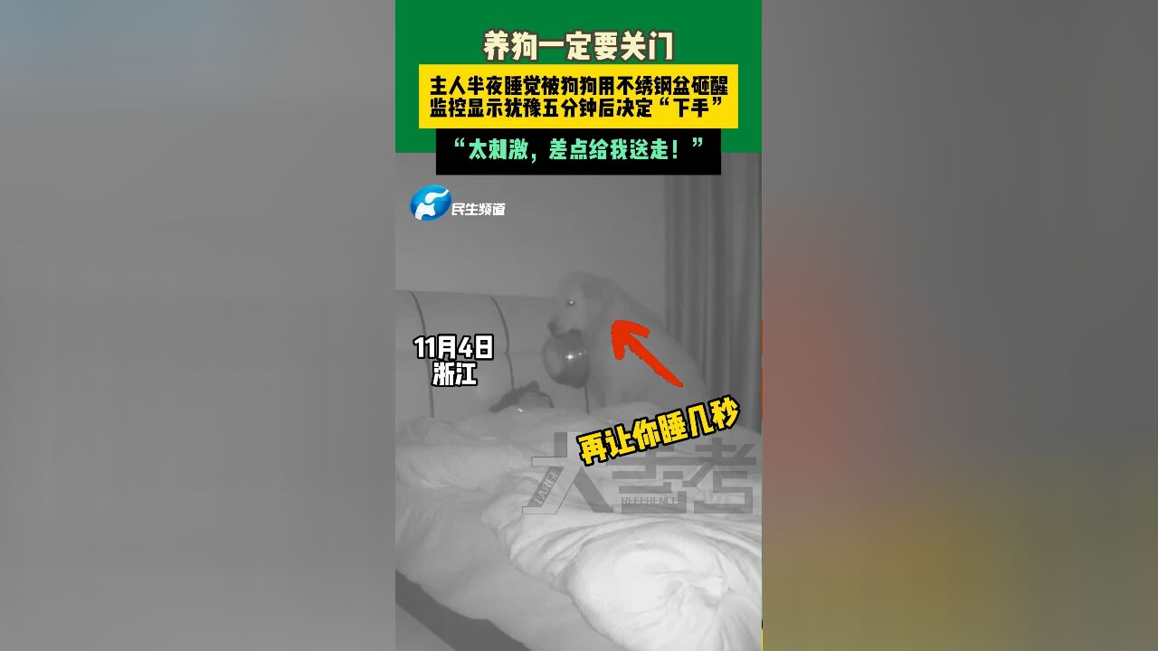 11月4日浙江,主人半夜睡觉被狗狗用不绣钢盆砸醒,监控显示犹豫五分钟后决定“下手”,“太刺激,差点给我送走!”.