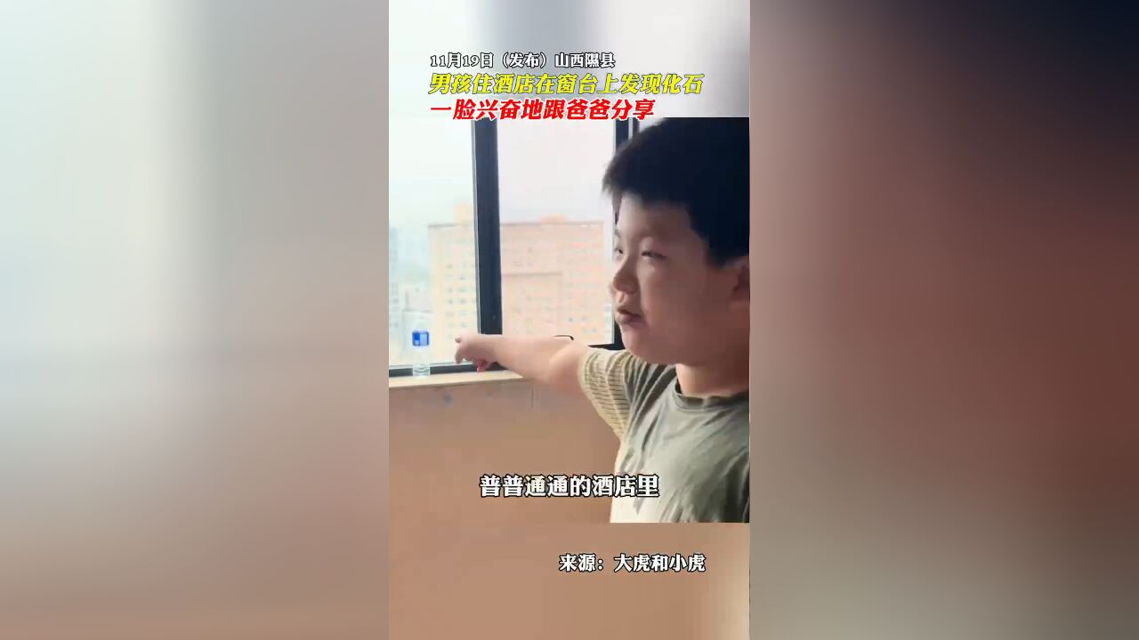 男孩住酒店在窗台上发现化石,一脸兴奋地跟爸爸分享