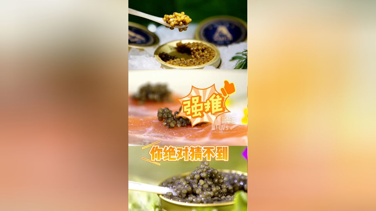 占全球市场供应总量十分之一的鲟鱼鱼子酱,竟然产自云南!