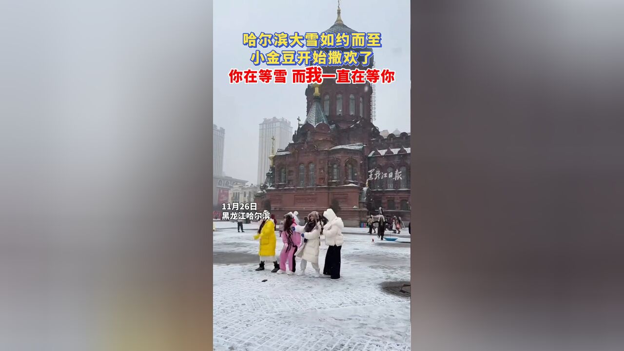 哈尔滨大雪如约而至 小金豆开始撒欢了 你在等雪而我一直在等你