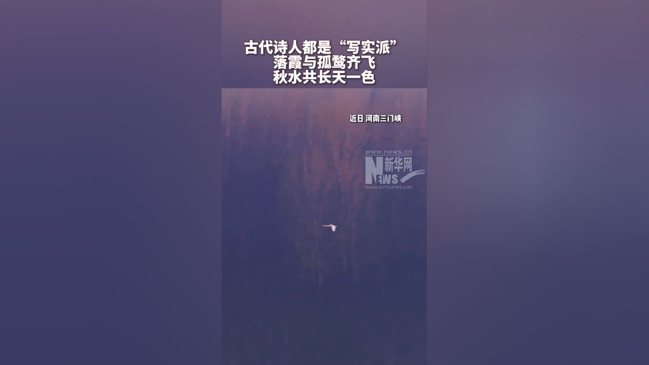 落霞与孤鹜齐飞,秋水共长天一色!古代诗人都是“写实派”