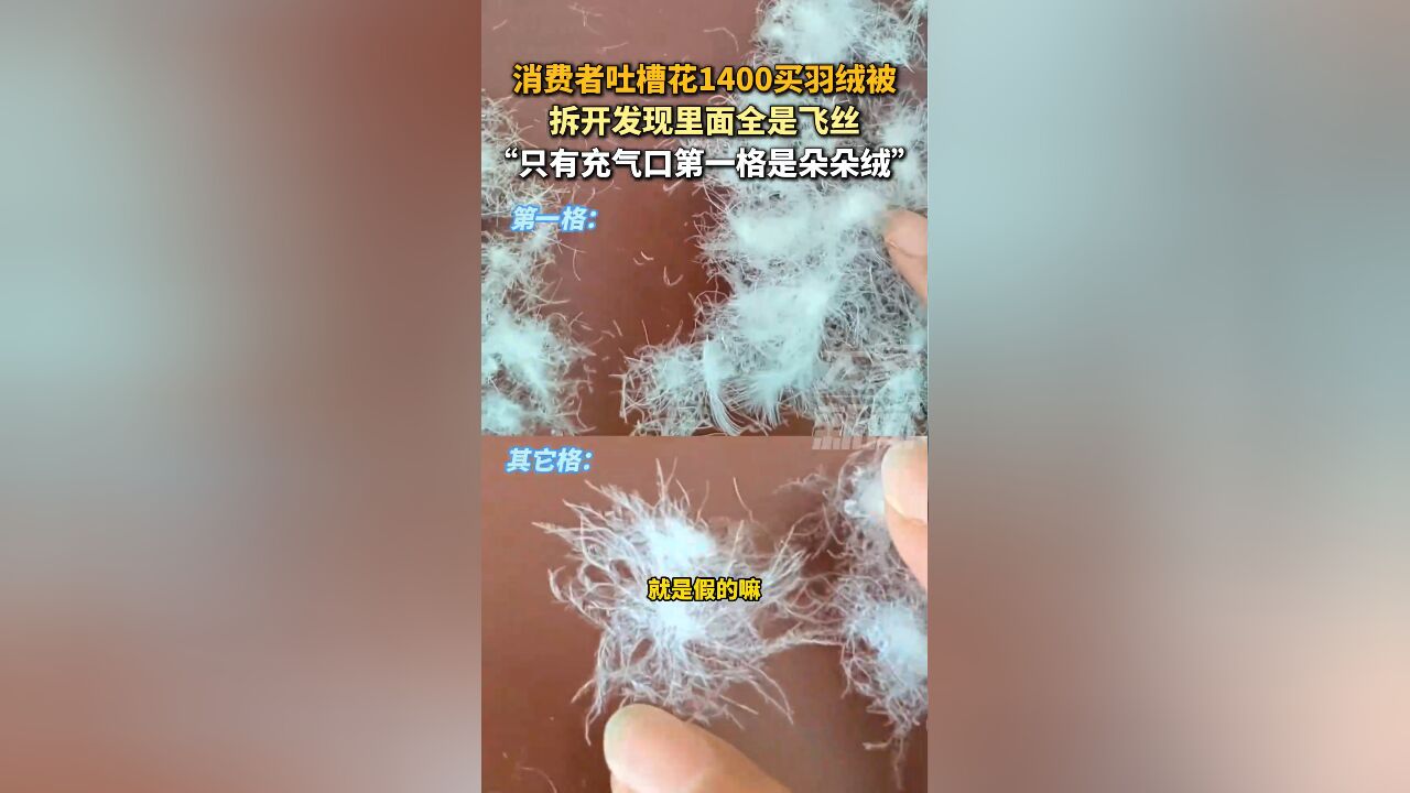 消费者吐槽花1400块钱买羽绒被,拆开发现里面全是飞丝