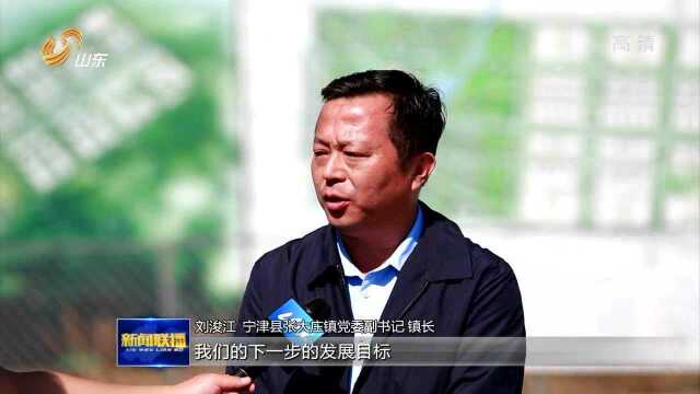 德州宁津:共享园区助推家具产业绿色转型