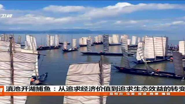 滇池开湖捕鱼 从追求经济价值到追求生态效益的转变