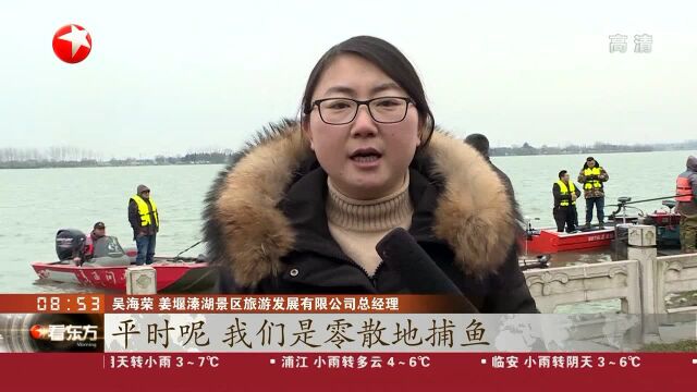 江苏姜堰:人欢鱼跃 溱湖3小时捕鱼3万斤