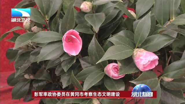 彭军率政协委员在黄冈市考察生态文明建设