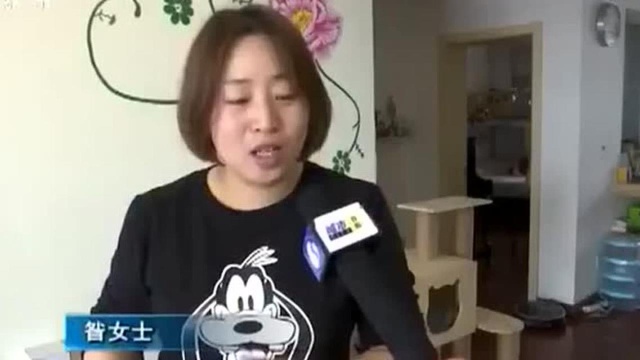 阳台外乌鸫筑巢 “小鸟奶奶”走红网络