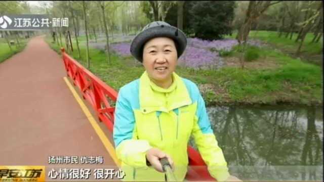 最是一年春好处:三月下扬州 动静两相宜