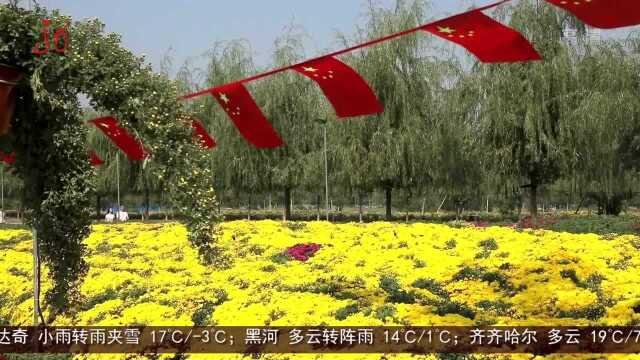 天津:百万株菊花层叠绽放 河北:雨后太行云海涌动