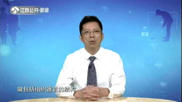 走进医学影像学的世界(一)