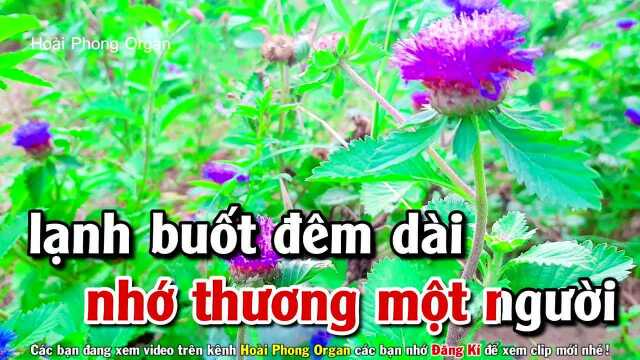 Ng㠹 Sau Sẽ Ra Sao  Tone Nữ