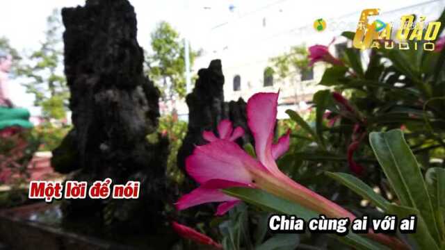 Nhớ Về Cha  Tone Nữ