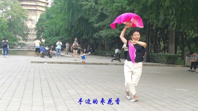 丁香表演《九儿》抑扬顿挫,人扇合一,简直太美了!玲珑广场舞