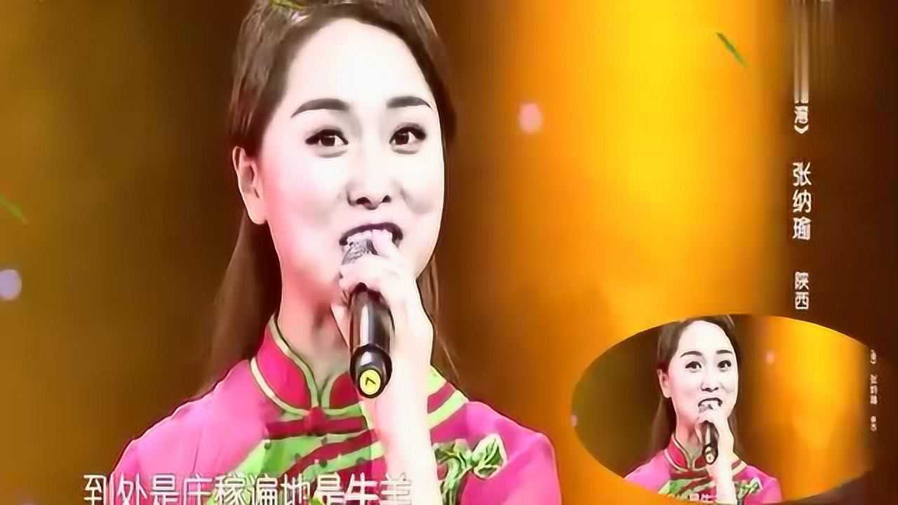 陕西美女歌手张纳瑜演唱的民歌南泥湾太好听了