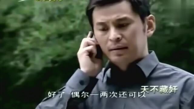 《天不藏奸》警方掌握了朱丽红所有信息,即刻下令进行抓捕江啸