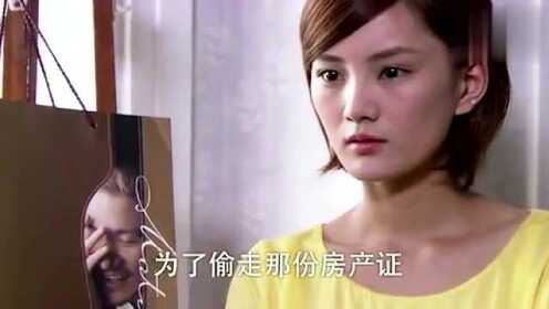 Thumbplayer Poster Plugin Image