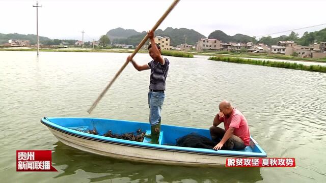 “蟹”逅中秋 贵州多地大闸蟹应季上市