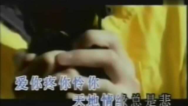 759天地情缘高清MV现场版 温兆伦