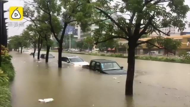 暴雨来势汹汹:珠海多地被淹 机场竟沦为“码头”