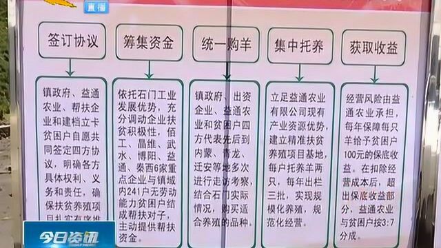 秦皇岛扶贫羊被镇政府交给企业,如此托管扶贫羊,到底错在哪儿?