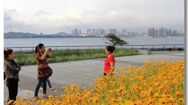 空中鸟瞰海滨公园,宛如一只展翅飞翔的蝴蝶