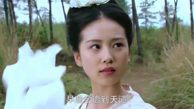 聊斋奇女子:辛十四娘大战狼妖,正气十足