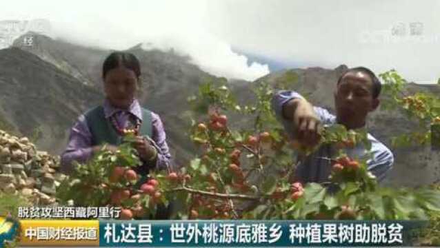 西藏札达县:世外桃源底雅乡 种植果树助脱贫