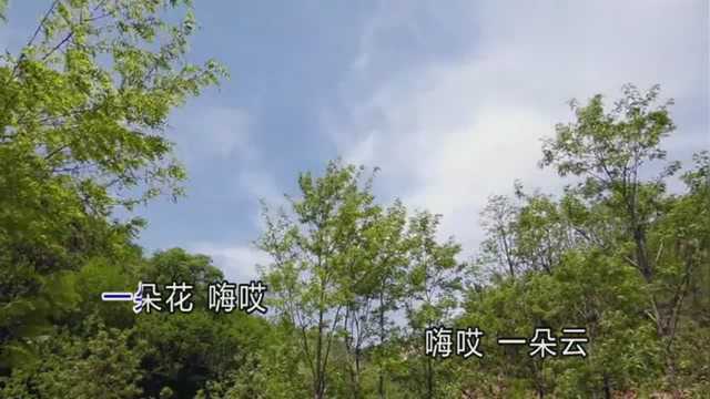 情歌《一朵花一朵云》送给你