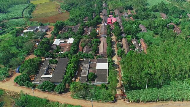 湛江市遂溪县前进农场立新片区风光