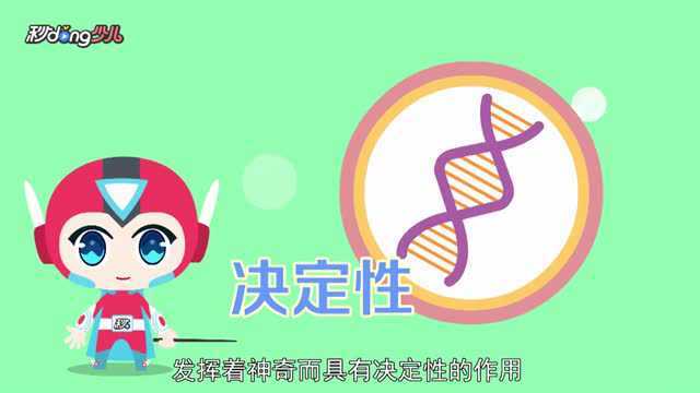 一分钟了解DNA