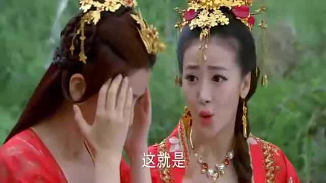 狐狸妹妹当天出嫁,结果两位姐姐抢亲!