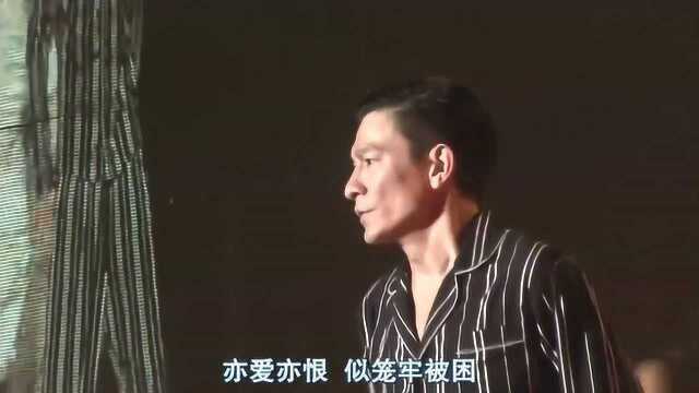 刘德华《我恨我痴心》演唱会现场版