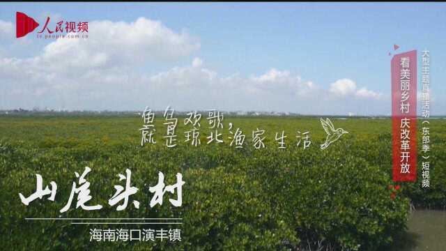 美丽乡村ⷦ𕷥—山尾头村:连理枝下渔家住 特色民宿助推民富