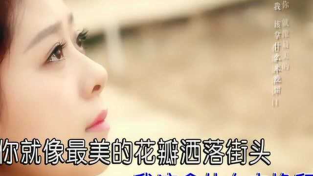 赵海伟歌曲《牵不到你的手》红日蓝月KTV推介