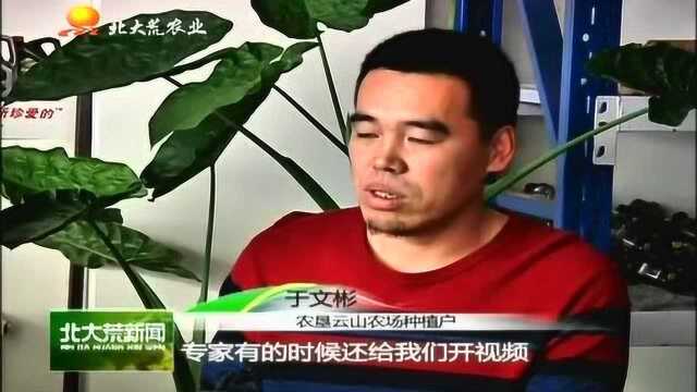 黑龙江垦区农业备耕 科技先行