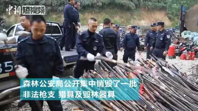 非法枪支猎具堆成小山森警花3小时销毁