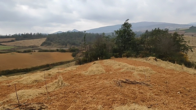 艮山坤败向如何改龙立水变富贵地,风水大师寻龙点穴阴宅墓地风水