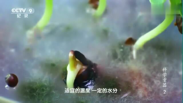 中国科学重器种质资源库