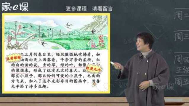 小学语文教育三年级下册课文同步讲解辅导视频——《燕子》