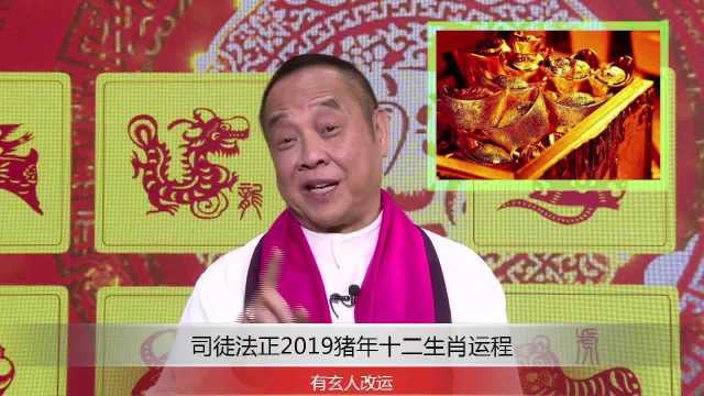 司徒法正2019猪年运程