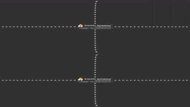 VR下内脏内部的动态变化和结构 医视屏的秒拍视频