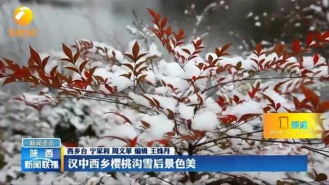 汉中西乡:樱桃沟雪后景色惹人醉