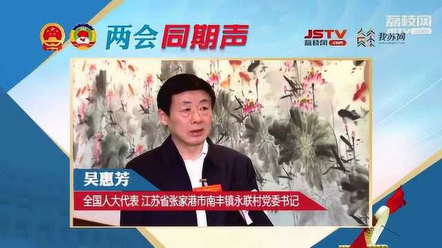 两会同期声 吴惠芳:满足村民美好向往 构建乡村绿色发展