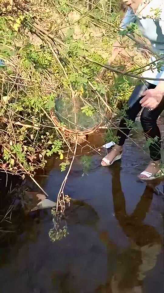 Thumbplayer Poster Plugin Image