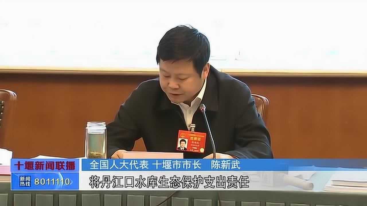 十堰市市长陈新武以生态补偿机制推进生态系统保护修复