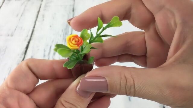 微世界DIY:微型鲜花