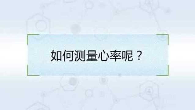 专家讲解心率应该怎么测